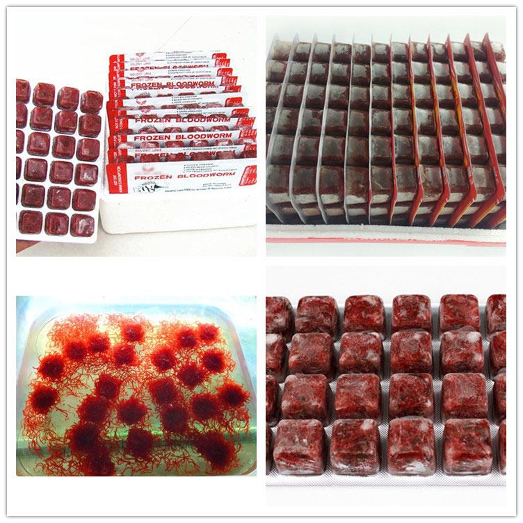 Frozen bloodworm blisters