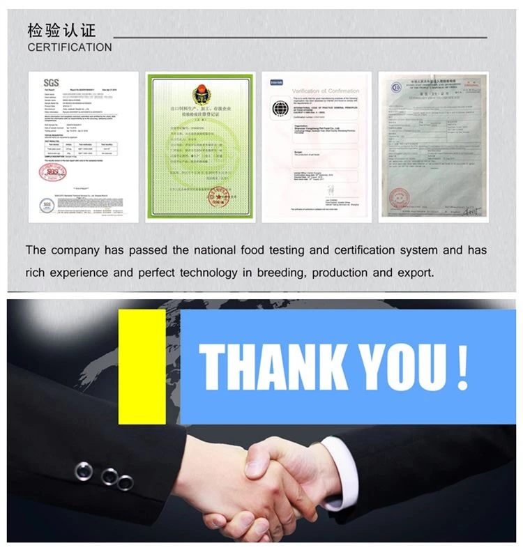 Inspection certificate of bloodworm
