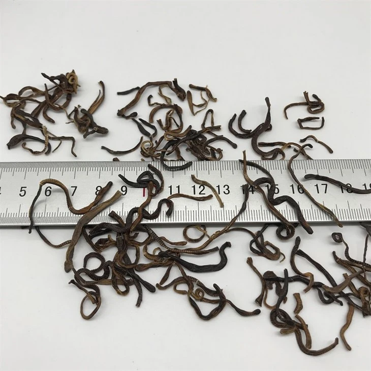 Bulk Air Dried Earthworms best